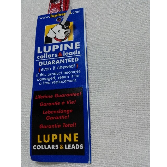 ワンちゃん　首輪　LUPINE その他のペット用品(犬)の商品写真