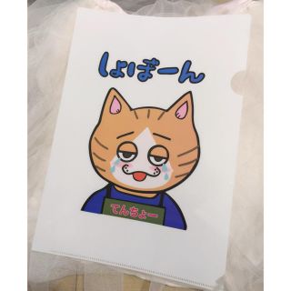 𓊆 完売品! トレトレチャンネル A4クリアファイル（店長）𓊇 