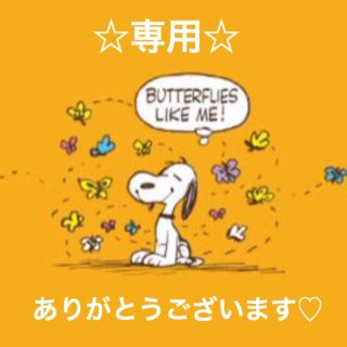 スヌーピー(SNOOPY)のはるたさま専用♡スヌーピー ５点セット(ファッション)