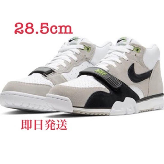 NIKE(ナイキ)のNIKE SB AIR TRAINER 1 ISO Chlorophyll  メンズの靴/シューズ(スニーカー)の商品写真