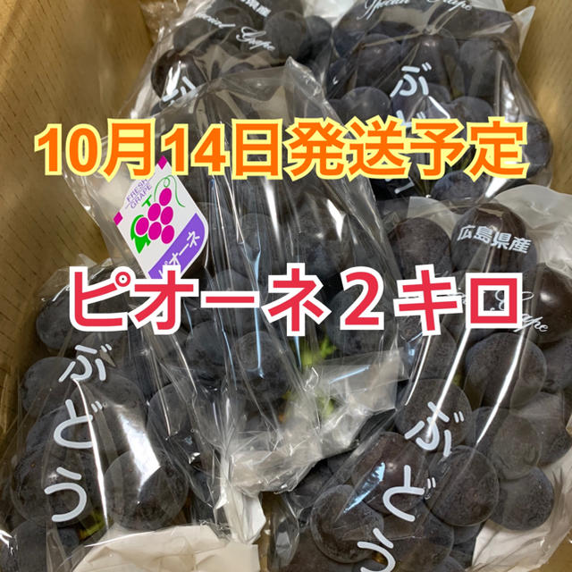 【10／14発送予定】広島県産ピオーネ／2キロ 食品/飲料/酒の食品(フルーツ)の商品写真