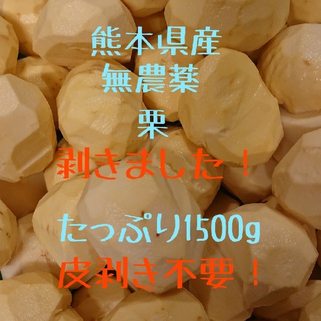 熊本県産　生栗　500ｇ