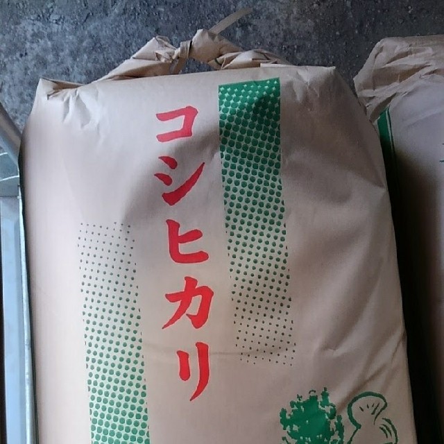 京都丹波産コシヒカリ30kg