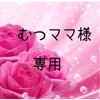 むつママ様専用　お米　令和2年　愛媛県産あきたこまち　白米　20㎏(米/穀物)