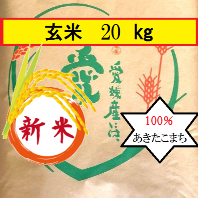 お米　令和2年　愛媛県産あきたこまち 玄米　20kg米/穀物