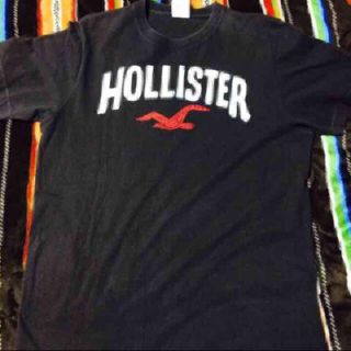 ホリスター(Hollister)のホリスター Tシャツ ブラウン L(Tシャツ/カットソー(半袖/袖なし))