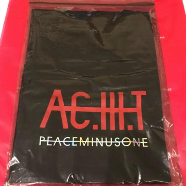 PEACEMINUSONE × AC.Ⅲ.T チェジュ★Tシャツ フリーサイズ