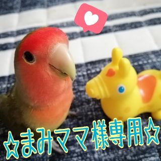 《まみママ様専用》♡インコちゃんのおもちゃ♡２点セット♡(鳥)