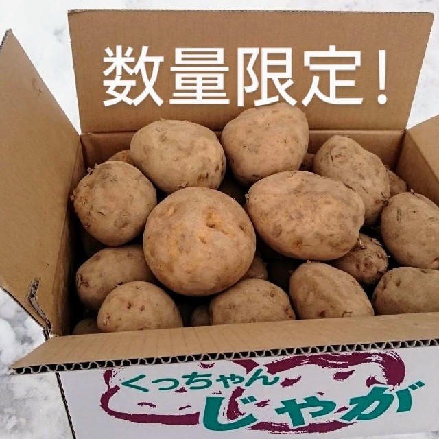 じゃが芋きたかむいB品 超特大玉 20キロ箱 農家直送 食品/飲料/酒の食品(野菜)の商品写真