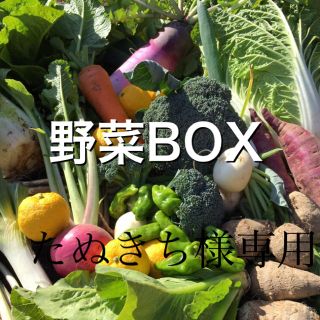 野菜BOX Mサイズ　たぬきち様専用(野菜)