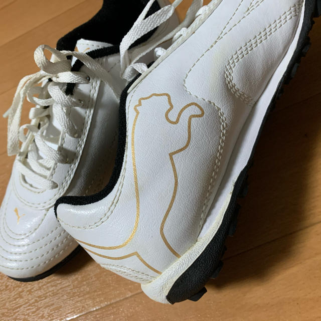 PUMA(プーマ)のプーマ  スニーカー★19cm キッズ/ベビー/マタニティのキッズ靴/シューズ(15cm~)(スニーカー)の商品写真