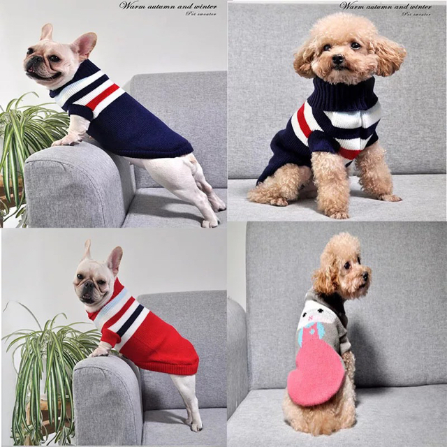 小型犬、子犬 犬 服 ニットの通販 by みー3700's shop｜ラクマ