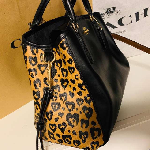 COACH(コーチ)の美品 COACH  ヒョウ柄 2WAY トートバッグ レディースのバッグ(トートバッグ)の商品写真