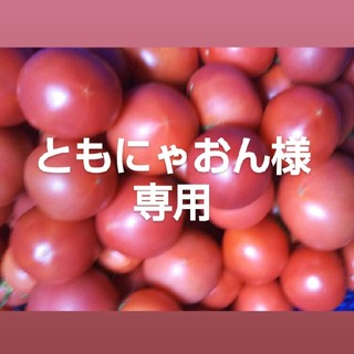 ともにゃおん様専用 麗月トマト(野菜)