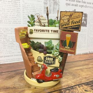 多肉植物の寄せ植え　丘の上のカフェバー9号店(その他)