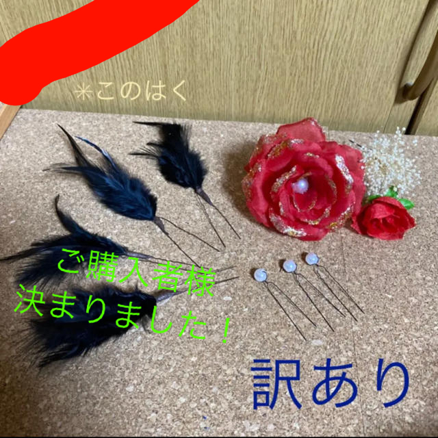 訳あり！No.15  黒羽根　赤　【同胞購入−500円】