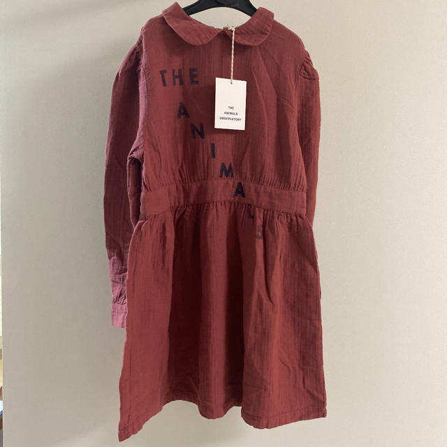the animals observatory tao 8y 襟付きロゴワンピ | so80.com.br