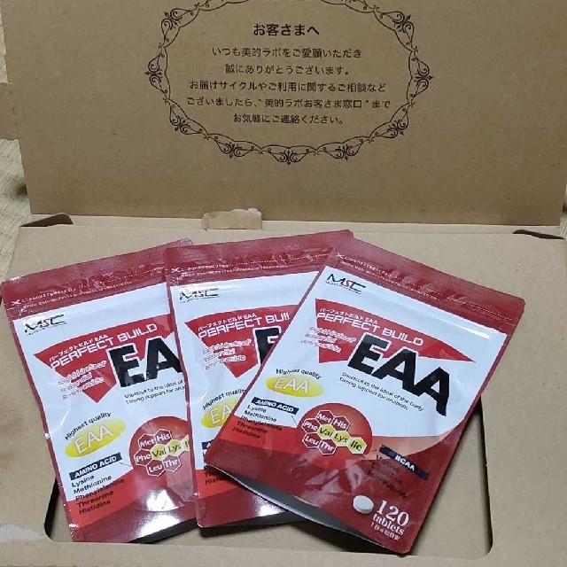 【 ※新品未開封品※】パーフェクトビルドEAA