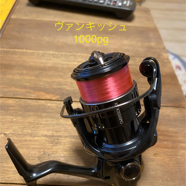 19ヴァンキッシュ1000pg-