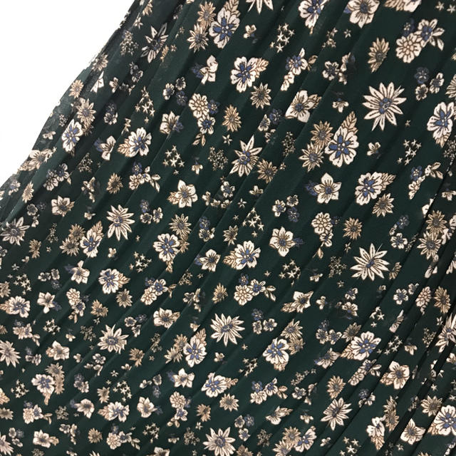 LEPSIM(レプシィム)のレプシム   花柄 ロングスカート レディースのスカート(ロングスカート)の商品写真