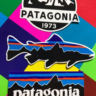 パタゴニア(patagonia)の★補強あり★新品未使用　パタゴニア　フィッツロイ柄ステッカー3枚セット　スコープ(その他)