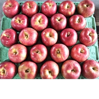 りんご 23個入り 秋田県横手市産 品種「シナノスイート」(フルーツ)