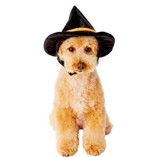 ★新品★ペティオ 変身ほっかむり 犬用 Ｍサイズ ハロウィン 魔法使い(犬)