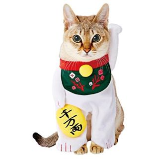 ★新品★ペティオ 変身着ぐるみウェア 猫用 招き猫 (猫)