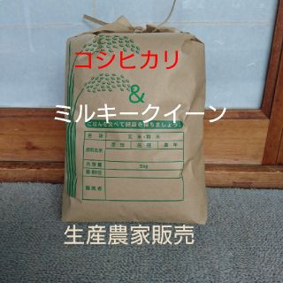 新米です！玄米5㎏  コシヒカリ&ミルキークイーン(米/穀物)