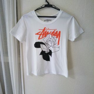 ステューシー(STUSSY)のステューシー半袖Tシャツ(Tシャツ(半袖/袖なし))