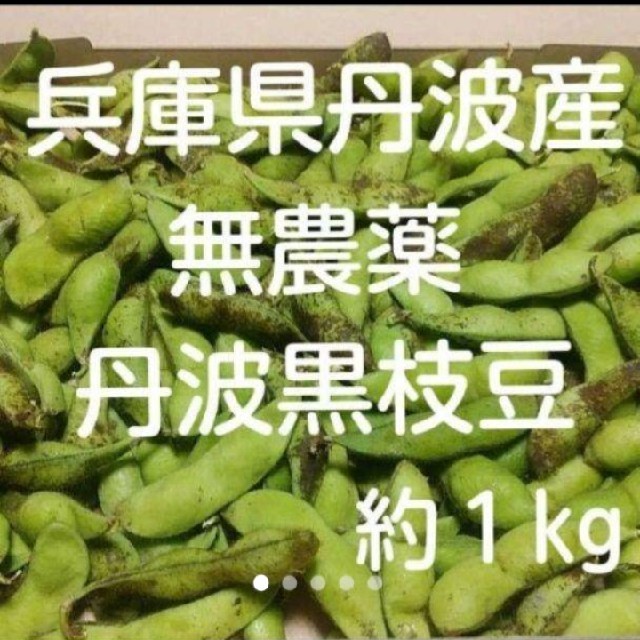 【産地直送！】正真正銘　兵庫県丹波産　無農薬　丹波の黒枝豆 食品/飲料/酒の食品(野菜)の商品写真