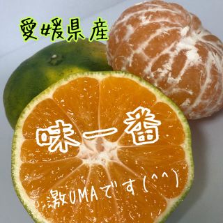 愛媛県産極早生みかん 家庭用約5kg(フルーツ)