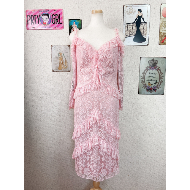 TADASHI SHOJI(タダシショウジ)の希少 新品 6 Tadashi Shoji タダシショージ PL1001N レディースのワンピース(ひざ丈ワンピース)の商品写真