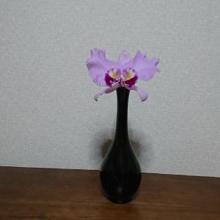 苗代川焼 花瓶(花瓶)