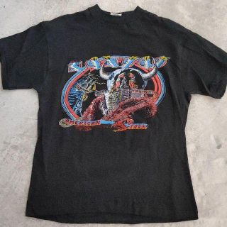 アメリヴィンテージ(Ameri VINTAGE)の【激レア】70年代 パキ綿　バンドTシャツ(Tシャツ/カットソー(半袖/袖なし))