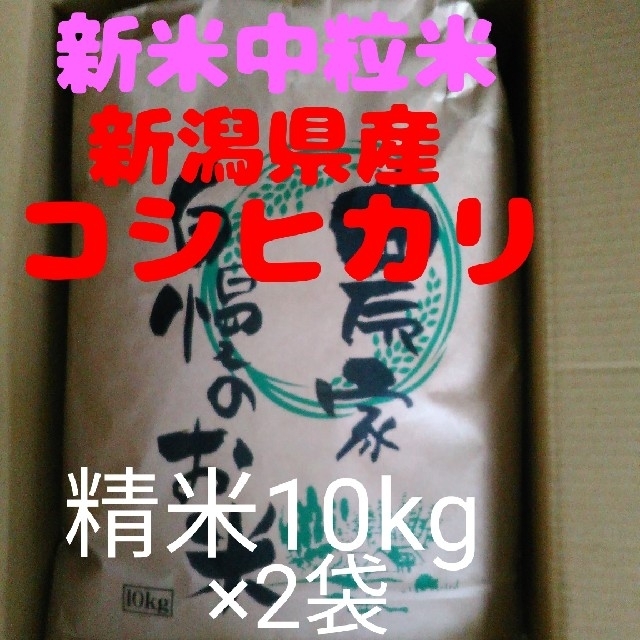 sweetorange様専用 食品/飲料/酒の食品(米/穀物)の商品写真