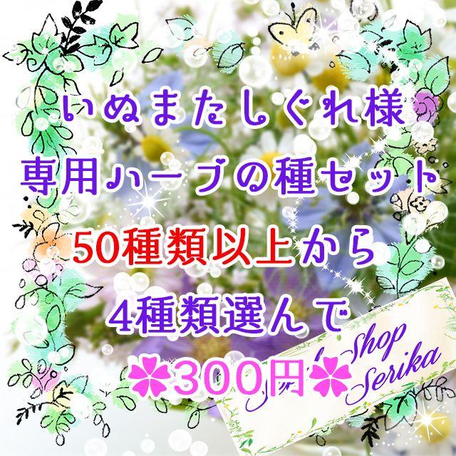 いぬまたしぐれ様専用 ハーブの種セット 家庭菜園 野菜 ハンドメイドのフラワー/ガーデン(その他)の商品写真