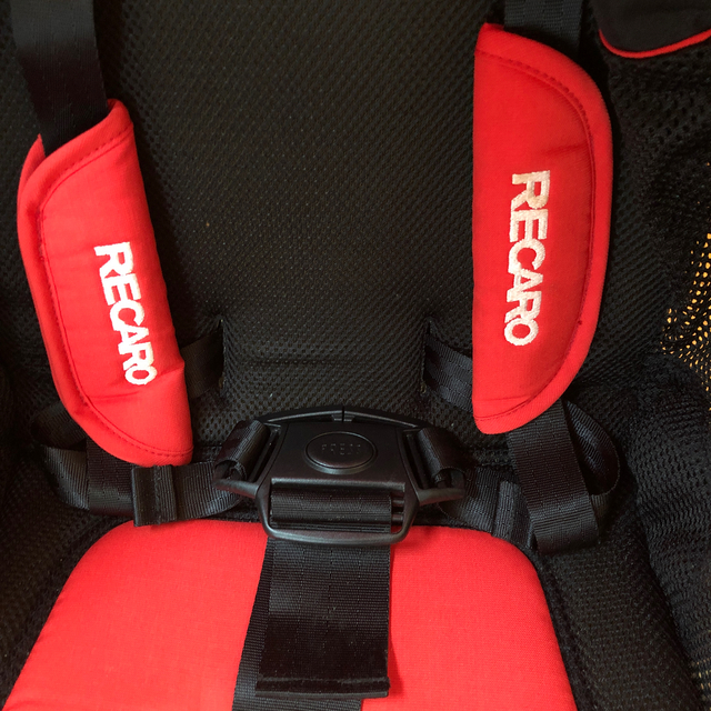 RECARO(レカロ)のレカロ　バギー キッズ/ベビー/マタニティの外出/移動用品(ベビーカー/バギー)の商品写真