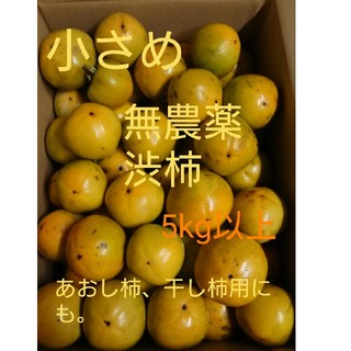 jinko様専用です。 渋柿 小さめ 80サイズ箱いっぱい(フルーツ)