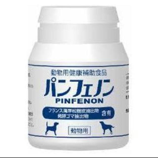 スケアクロウ パンフェノン新品未開封 - 犬