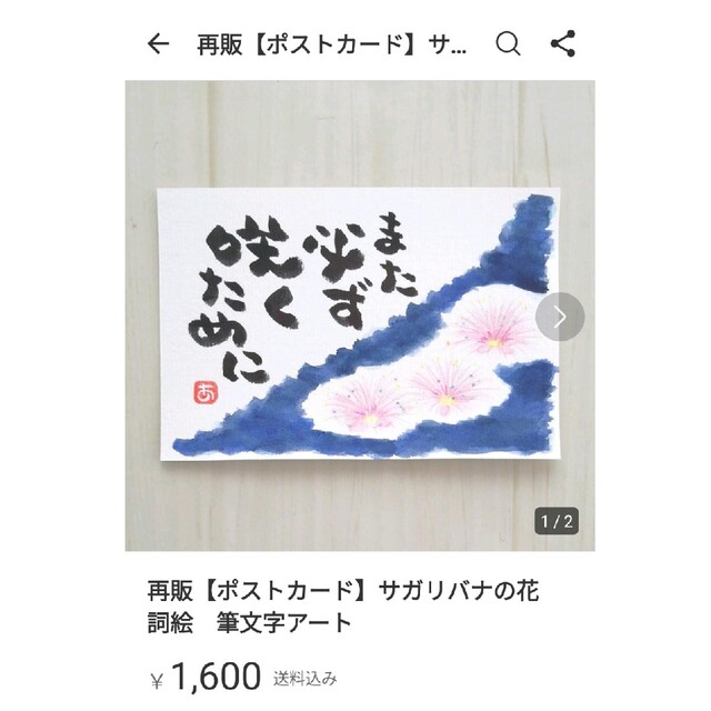 1800円【ポストカード】コスモス　祈り　詞絵　筆文字メッセージ