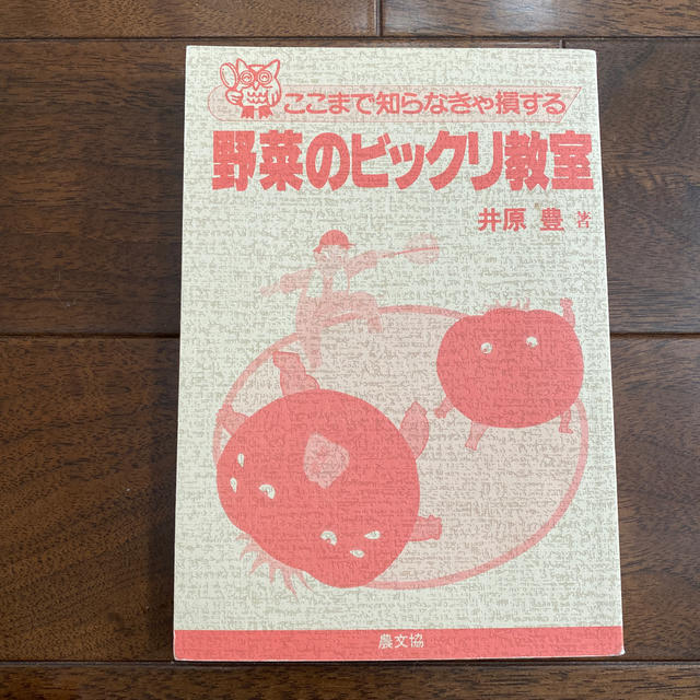 野菜のビックリ教室、井原豊、野菜作り、畑、土作り エンタメ/ホビーの本(趣味/スポーツ/実用)の商品写真