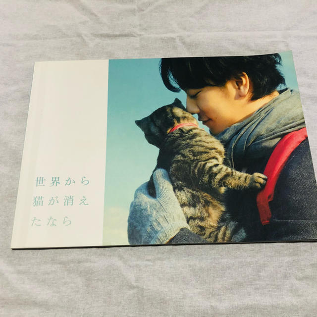 佐藤健/世界から猫が消えたなら＊パンフレット エンタメ/ホビーの本(アート/エンタメ)の商品写真