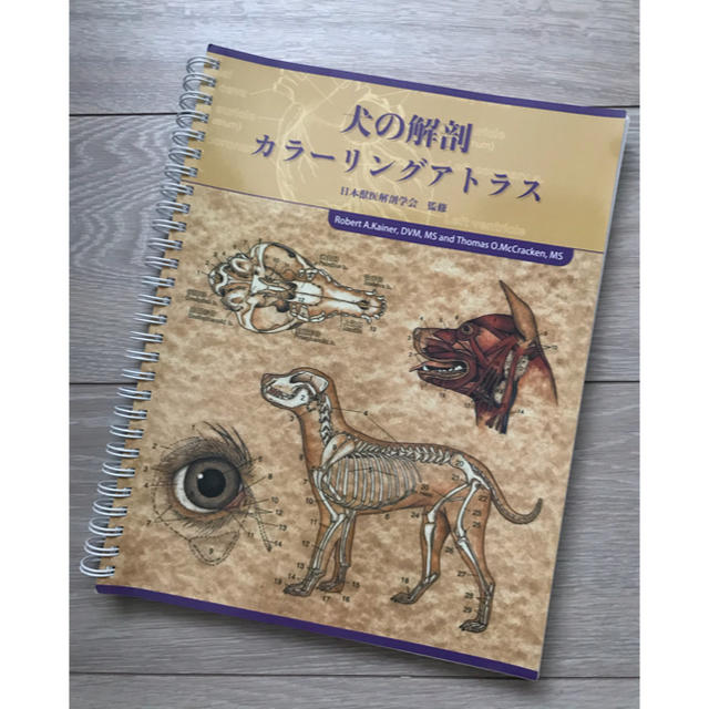 獣医 教科書 テキスト まとめ売り www.uig.sanjuandelrio.gob.mx