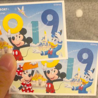 ディズニー(Disney)のディズニー🤎ペアチケット(1day)(遊園地/テーマパーク)