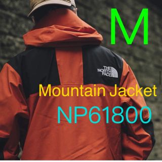 ザノースフェイス(THE NORTH FACE)のマウンテンジャケット　ノースフェイス　NP61800 PG M(マウンテンパーカー)