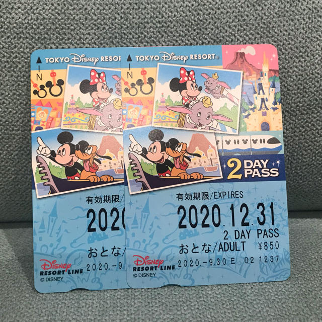 Disney(ディズニー)のディズニーリゾートライン フリーきっぷ(2day) チケットの施設利用券(遊園地/テーマパーク)の商品写真