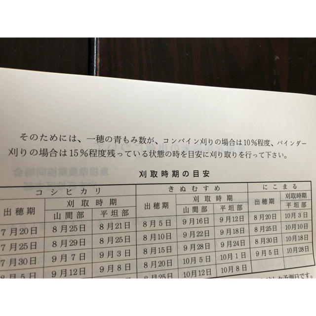 2年無農薬島根県産きぬむすめ100% 玄米20kg  食品/飲料/酒の食品(米/穀物)の商品写真