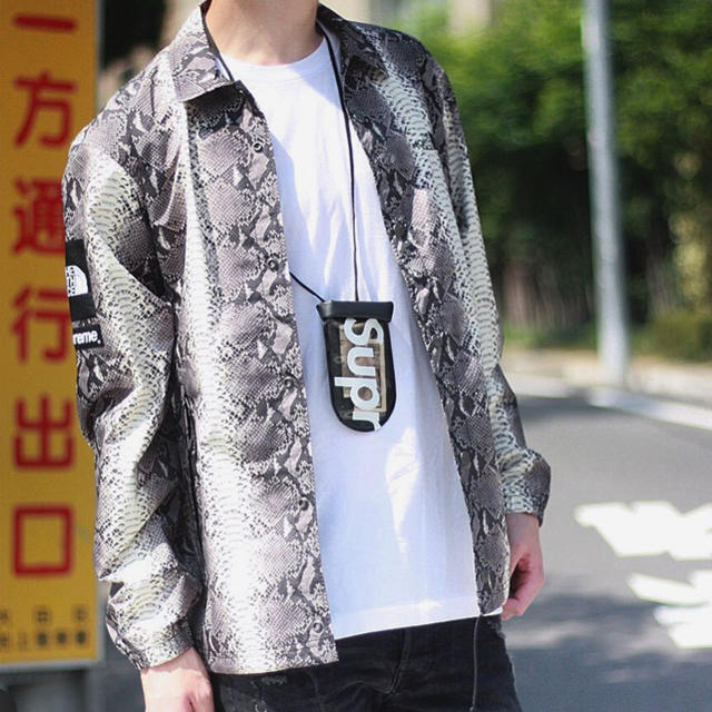 Supreme × THE NORTH FACE スネーク コーチジャケット Supreme × THE NORTH FACE スネーク コーチジャケット