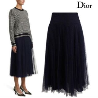 クリスチャンディオール(Christian Dior)のchristian dior 今期2020 チュールスカート　36 ブラック(ロングスカート)